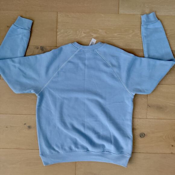 Disneyland Parks Sweatshirt Blue Mickey Mouse Standing Adult Medium Crewneck - Picture 2 of 7